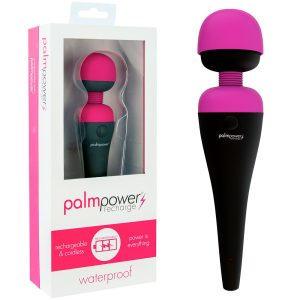 PalmPower Rechargeable Personal Massager