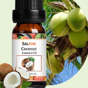 Salking Fruity Essential Oils Coconut 10ml