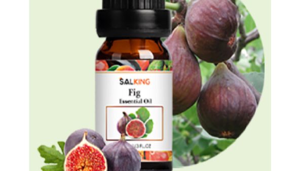 Salking Fruity Essential Oils Fig 10ml