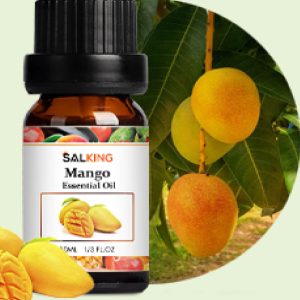 Salking Fruity Essential Oils Mango 10ml