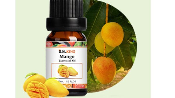 Salking Fruity Essential Oils Mango 10ml