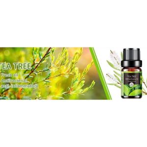 AESHORY Tea Tree Essential Oil – 10ml | 100% Pure, Floral & Natural for Diffusers