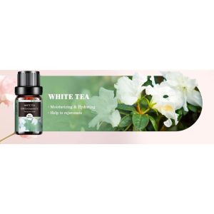 AESHORY Ylang Ylang Essential Oil – 10ml 100% Natural Floral Scent for Diffusers