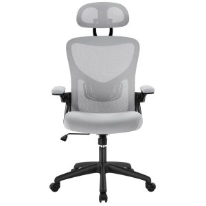 Yaheetech Ergonomic Reclining Office Chair with Armrests, Adjustable Headrest, Light Grey