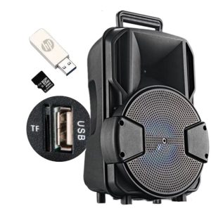 Arrango AC57151 STYX-5 Portable Loudspeaker – 8" – 50W PMPO – Wireless + FM