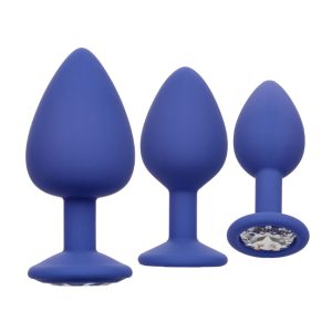 Cheeky Gems Purple 3 piece Butt Plug Set
