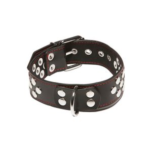 Riveted Collar Leather Black