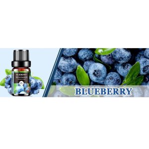 AESHORY Blueberry 10ml &ndash; Fruity Essential Oil for Aromatherapy Diffusers