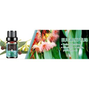 AESHORY Eucalyptus Essential Oil &ndash; 10ml | 100% Pure, Floral & Natural for Diffusers