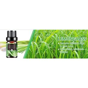 AESHORY Lemon Grass Essential Oil &ndash; 10ml | 100% Pure, Floral & Natural for Diffusers