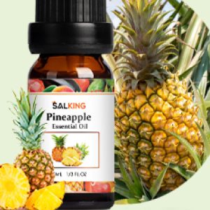 Salking Fruity Essential Oils Pineapple 10ml
